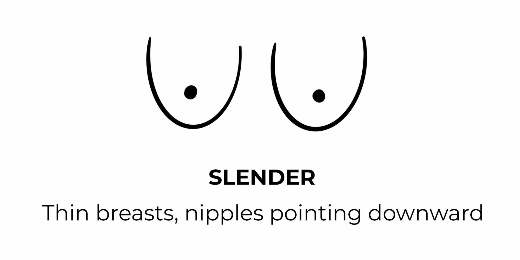 Slender Shape Breasts